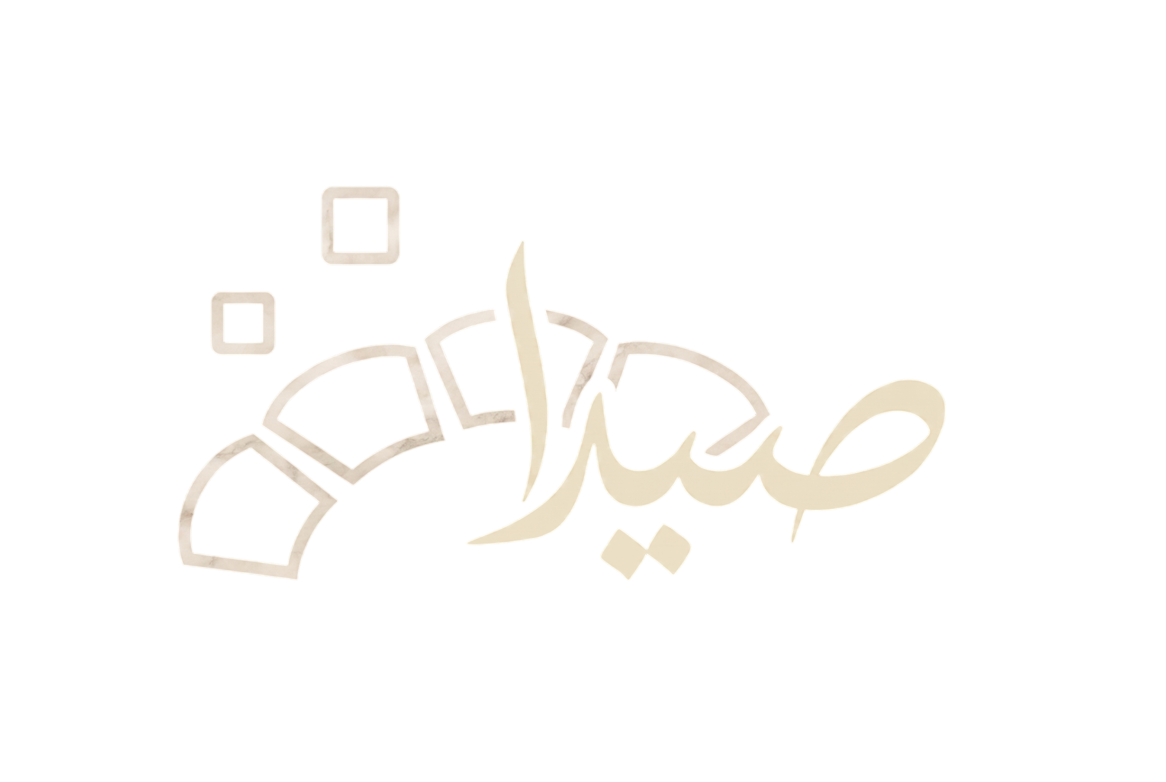 صيدا
